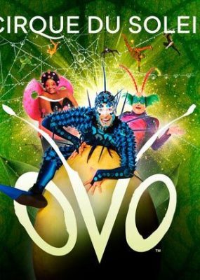 Cirque du Soleil “OVO” Show