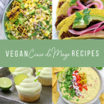45 Vegan  Cinco de Mayo Recipes