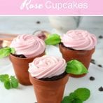 Vegan Double Chocolate Rose Cupcakes
