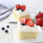 Vegan 1 Bowl Vanilla Cake with Berries