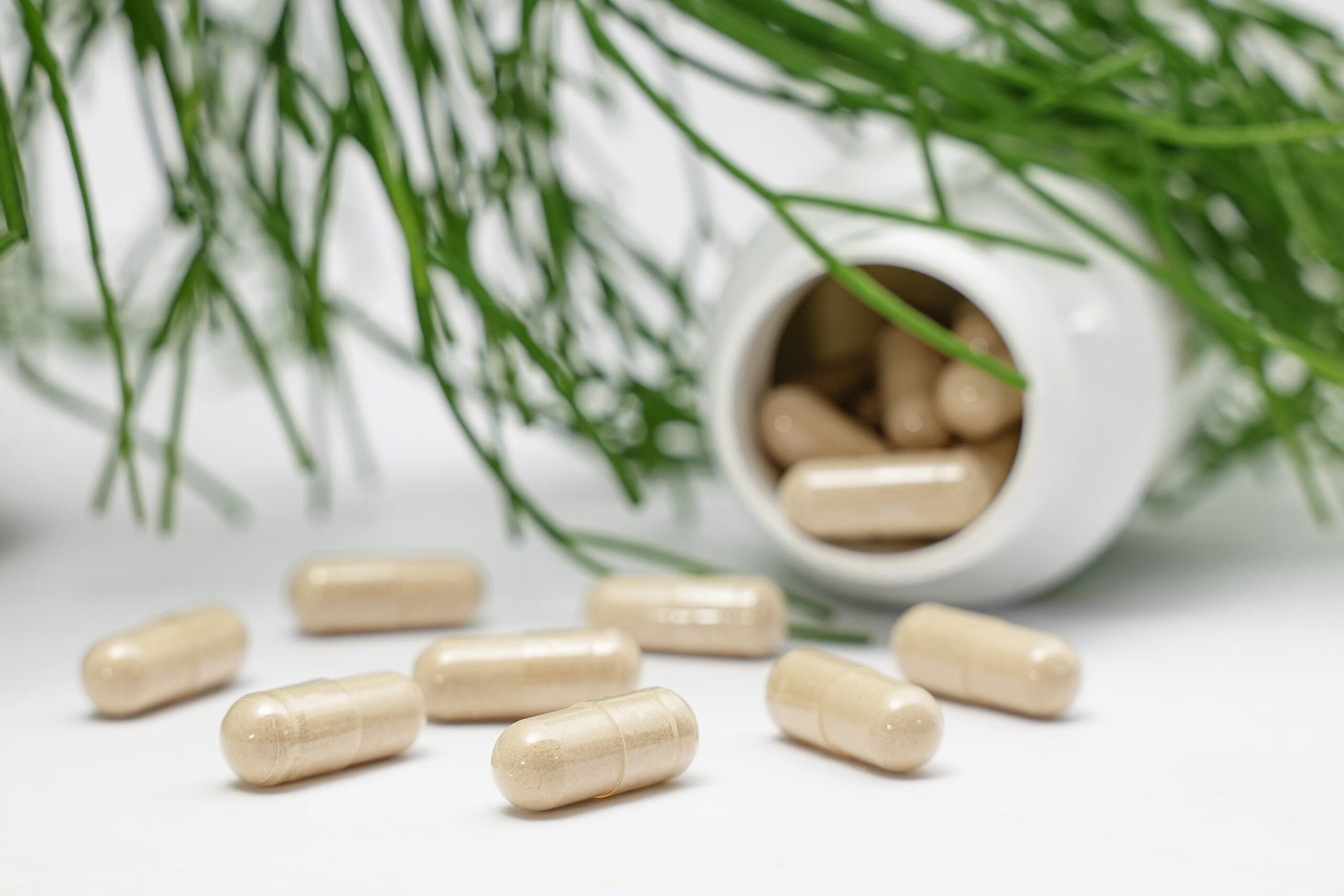 What Plant-Based Really Means On a Supplement